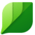 An illustration of a green leaf with a slightly folded corner, displaying two shades of green. The top part is a lighter shade, while the bottom part is a darker shade, creating a subtle gradient effect reminiscent of the design elements seen in Microsoft Monpellier.